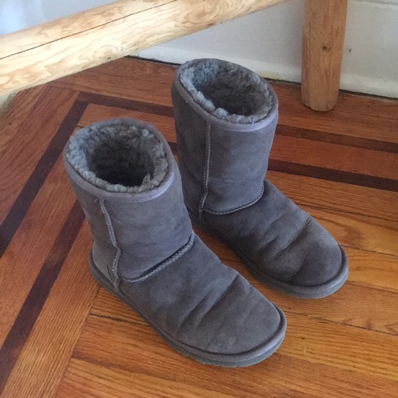 UGG Shoes - Authenitic Gray Uggs - 6